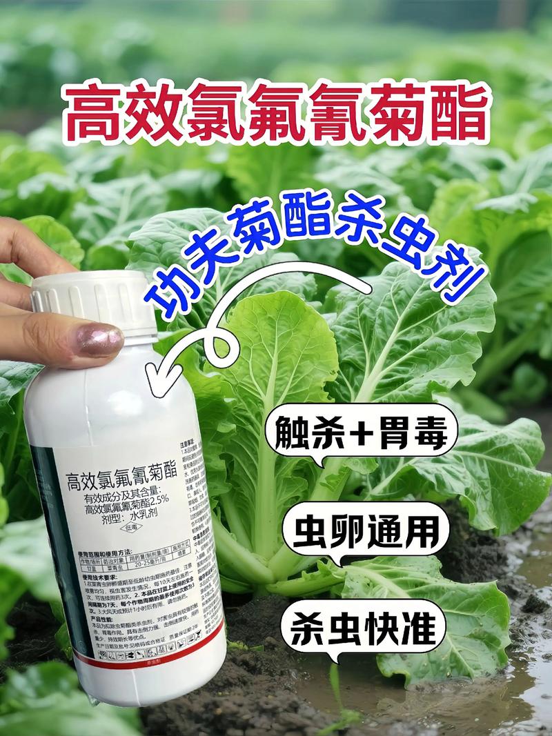 十堰代生中心:农药对供卵代生妈妈的危害